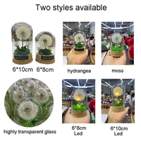 Vente en gros de pissenlits préservés faits à la main sous cloche en verre avec lumière LED, fleur éternelle, cadeau pour la Saint-Valentin, la fête des mères, Noël