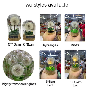 Venta al por Mayor de Dondas de Cristal con Luz LED, Regalo de Flor Eterna para <span class=keywords><strong>el</strong></span> Día de San Valentín, Día de la Madre, Cumpleaños - Product Image 6