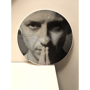 Linkin Park - Chester Swirl FPH3D - Product Image 1