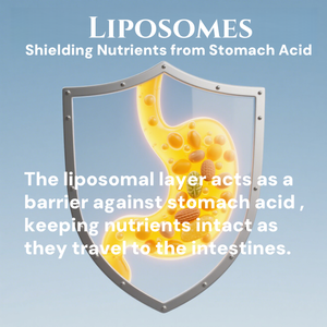 Sıcak satış azaltılmış orijinal GSH lipozomal kızdırma kollajen vitamin c takviyesi beyazlatma l-glutatyon yumuşak jel kapsüller güzellik için - Product Image 4