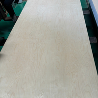 Usine directe CC Grade 9-12-15-18-21mm épaisseur noyau en caoutchouc contreplaqué de bouleau E0 A2 pour l'utilisation d'appartement de meuble scolaire