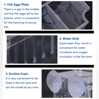 Vente du fabricant JENECA : Boîte d'isolation transparente en plastique écologique pour l'élevage de poissons d'aquarium, incubateur pour poissons Betta, 1L
