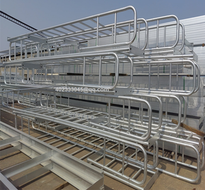 Scala a gabbia in acciaio inossidabile in alluminio zincato di sicurezza - Product Image 5