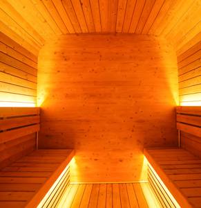 ساونا خشبية عالية الجودة من سانشينغ للاستخدام الخارجي، مصنوعة من الخشب المكربن، ساونا بخارية تقليدية كبيرة الحجم للعائلة - Product Image 5