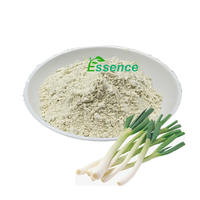 High Quality Seasonings & Condiments Super Seafood Condiment Dried Scallions White Powder