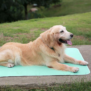 Almohadillas de Entrenamiento para Mascotas Lavables y Ecológicas, Venta al por Mayor Directa de Fábrica, MOQ Pequeño, Envío Rápido - Product Image 6
