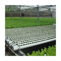 Système de culture hydroponique Système hydroponique de ferme NFT Utiliser un système de culture en serre pour la laitue et les légumes