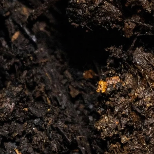 Compost Natural de crecimiento rápido de Pakistán Fertilizante orgánico para el cuidado del jardín doméstico Compost orgánico listo para usar a granel - Product Image 1