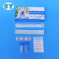 Iclean 100 pièces/boîte Kit de test ADN génétique pour chiens et oiseaux, certifié CE ISO13485, avec tubes floqués en nylon, expédition rapide