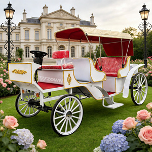 Charrette de tourisme rétro de luxe vintage avec décorations dorées pour sites touristiques et loisirs en parc - Product Image 1