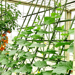 Garden Metal Deluxe Plant Support Garden Stakes Frame Cucumber <strong>Trellis</strong> for Supporting Plants - Product Image 1