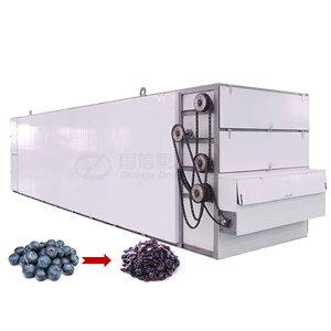Équipement de séchage à bande continue pour myrtilles de haute qualité OEM, sécheuse à myrtilles pour la transformation des fruits - Product Image 1