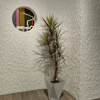 Matériaux de décoration de luxe en pierre flexible MCM, feuille de placage de lune étoilée, pierre murale décorative, matériau de pierre artificielle OEM