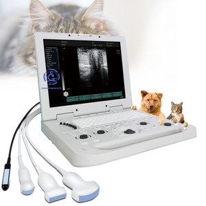 G-800 + harga murah instrumen ultrasound medis otokografi mesin ultrasound Cina