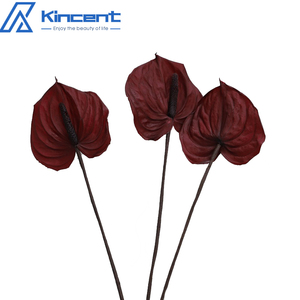 3 pz/5 pz fiori conservati fiori naturali conservati Anthurium veri Fleurs composizioni floreali - Product Image 3