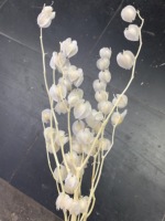 Eternal DIY Physalis Angulata Bouquet De Fleurs Séchées Lanterne Fruits Noël Maison Vase Décorations De Mariage pour Les Amoureux De La Rose