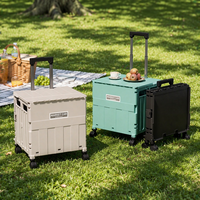 Chariot pliant multi-roues en PP, directement de l'usine, pour le stockage d'aliments et de matériel de cuisine et de jardin, écologique