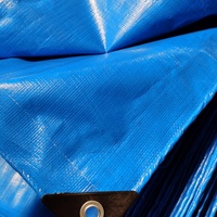 Bâche en plastique bleue imperméable en polyéthylène pour couverture extérieure, vente en gros d'usine à prix abordable
