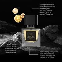 Vente en gros d'usine de parfum pour hommes parfum de charme frais et naturel eau atmosphère de rencontre parfum de fils de terre