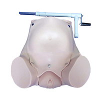 Modelo de Entrenamiento Ginecológico Avanzado, Simulador de Parto Manual para Enseñanza Médica