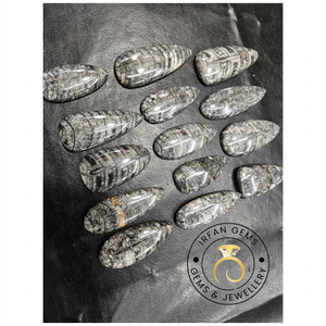 Natural Orthoceras <b>Fossil</b> MIx Shape Cabochon Loose <b>Stone</b> Wholesale Gemstone Natural Black Orthoceras <b>Fossil</b> Wholesale Price - Product Image 2