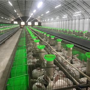 Новая красная пластиковая кормушка для кроликов TyGoal с автоматической подачей влажного/сухого корма, экологичный дизайн, гарантия 6 месяцев - Product Image 3