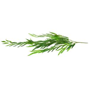 Fabricant de feuilles artificielles en pot, <span class=keywords><strong>plantes</strong></span> artificielles d'extérieur, clôtures personnalisées, treillis, portails, feuilles artificielles en gros - Product Image 4