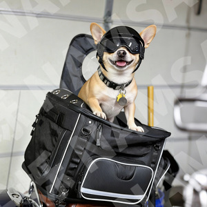 Casque de moto pour animaux de compagnie avec lunettes de protection pour chiens et chats, équipement de sécurité pour la conduite en plein air, accessoires pour petits animaux, en plastique durable, rond - Product Image 1