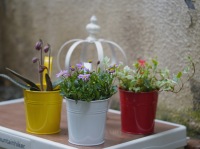 Pots de fleurs suspendus en métal galvanisé avec crochet/pour les jardinières de balcon Pot avec crochet suspendu