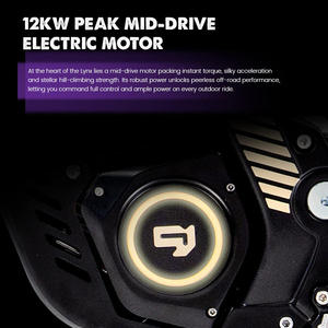 Directo de Fábrica, Nueva Motocicleta Todoterreno Lynx sin Escobillas, 12KW de Potencia, 72V 40Ah de Litio, 120KM de Autonomía - Product Image 3