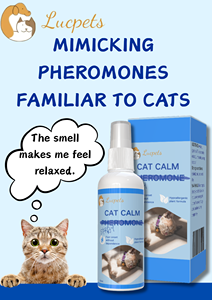 Les phéromones peuvent aider les chats à identifier rapidement les «zones sûres» et à réduire leur peur des espaces inconnus - Product Image 3