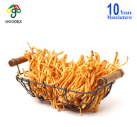 Cordyceps Militaris Kering Seluruh Tubuh Berbuah Alami, Bunga Cordyceps Kelas Makanan, Grosir dalam Jumlah Besar