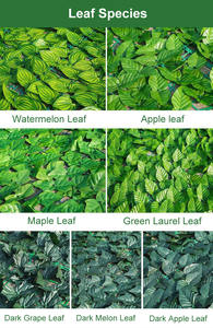 Valla de setos artificiales y decoración de hojas de vid de <span class=keywords><strong>hiedra</strong></span> falsa para decoración al aire libre Valla de privacidad de <span class=keywords><strong>hiedra</strong></span> <span class=keywords><strong>artificial</strong></span> - Product Image 4