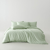 Parure de lit en fibre de bambou 60S, certifiée Oeko-Tex, couleur unie, ensemble de couette européen, décoration de chambre haut de gamme, tailles SB, QB, KB disponibles