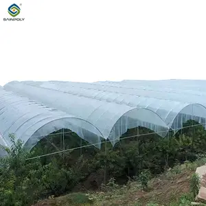 Sainpoly Hot Sale Cheap Rain Shelter Polytunnel Berry Low Cost Greenhouse Multi-span Blueberry Greenhouse