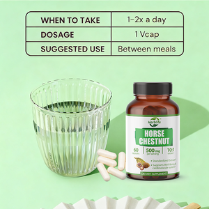 Suplemento de extracto de castaño de indias OEM - Apoya la salud cardiovascular, la salud del corazón y la circulación, Vegano - Product Image 3