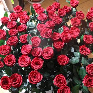 YAYUN A-1120 venta <span class=keywords><strong>al</strong></span> <span class=keywords><strong>por</strong></span> <span class=keywords><strong>mayor</strong></span> de <span class=keywords><strong>Ecuador</strong></span> y rosas de tallo largo <span class=keywords><strong>flores</strong></span> para regalo - Product Image 3