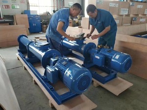 Electric Stainless Steel Mini Mono <b>Sludge</b> High Pressure Screw <b>Pump</b> OEM ISO Certified - Product Image 6