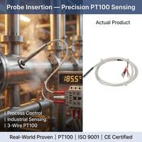 Capteur de température de type sonde en acier inoxydable PT100 RTD HUADONG