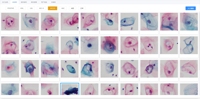 Microscope 20x Ultra-high Resolution Dual-slide Digital Slide Scanner, Laboratory Research and Teaching
