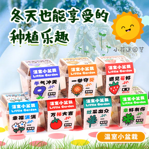 Mini <b>Potted</b> Plants For Kids And Students Plant Observation Box With Strawberry Seeds Indoor Growing Kit For Children's Day Gift - Product Image 5