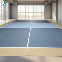Revêtement acrylique antidérapant en PVC pour terrain de pickleball, motif sable, 60x30 pieds, tapis de sport sûr pour intérieur et extérieur