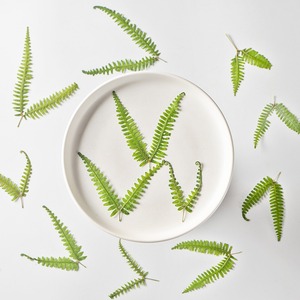 Dicranopteris <span class=keywords><strong>Dichotoma</strong></span> fleur séchée à Double pointe en relief bricolage signets accessoires de bijoux époxy fleur pressée feuilles séchées - Product Image 1