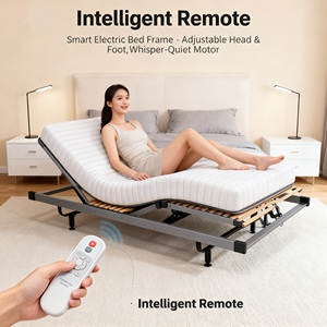 Оптовая продажа: Электрическая кровать-раскладушка (фулл-сайз), регулируемая, комфортная, современная, бесшумная, для спальни, квартиры, отеля, больницы - Product Image 1
