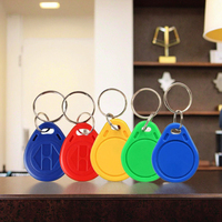 Porte-clés RFID en stock 125KHz/13.56MHz F08/T5577 réinscriptible, étiquette NFC étanche pour contrôle d'accès hôtelier et d'ascenseur