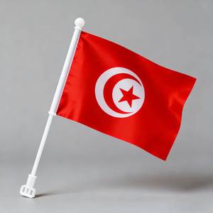 Breed toegepast, populaire, op maat gemaakte digitale print polyester vlaggenlijn 2026 <span class=keywords><strong>Qatar</strong></span> kleine vlaggen - Product Image 5