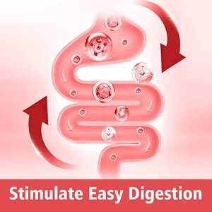 Wholesale Daily Gut Health Powder with L-Glutamine Digestive Support Promotes Absorption Nutrition Powder Drink - Product Image 3