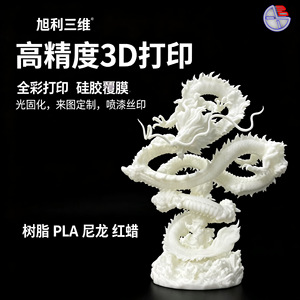 Modèle de sculpture 3D imprimé en 3D Xuli, matériau nylon, conception personnalisée, revêtement de surface, traitement sur site - Product Image 3