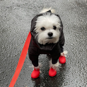 Botas Impermeables <span class=keywords><strong>de</strong></span> Silicona <span class=keywords><strong>para</strong></span> Perros, <span class=keywords><strong>Zapatos</strong></span> Antideslizantes <span class=keywords><strong>para</strong></span> Mascotas con Correa <span class=keywords><strong>de</strong></span> Velcro, Calzado Transpirable <span class=keywords><strong>para</strong></span> Exteriores <span class=keywords><strong>para</strong></span> Perros Pequeños y Grandes, Verano - Product Image 4
