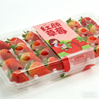 Boîte d'emballage en plastique transparente pour fraises, 9, 11, 15, 20, 24, 28 cellules, en PET recyclé, avec étiquette et doublure en mousse
